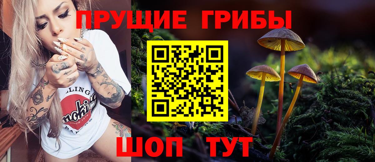Брянск  Псилоцибиновые грибы ЛСД  Галлюциногенные грибы MAGIC MUSHROOMS  Вход с VPN 