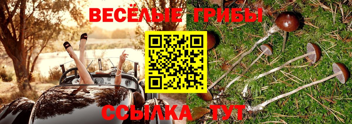 Псилоцибиновые грибы ЛСД Брянск